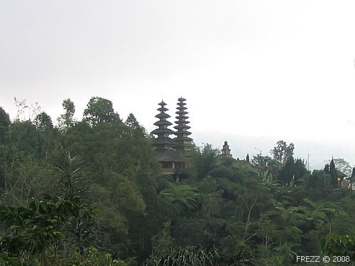 Храм в джунглях на Бали