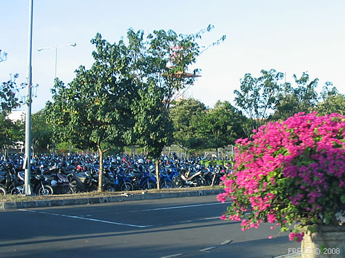 В столице Бали - Денпасере 5 000 000 жителей