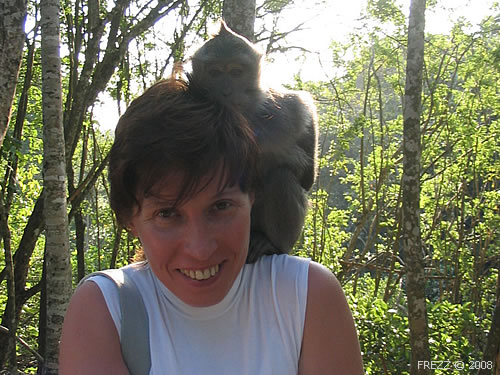 Я тетушка Чарли, из Бразилии, где много-много диких обезьян