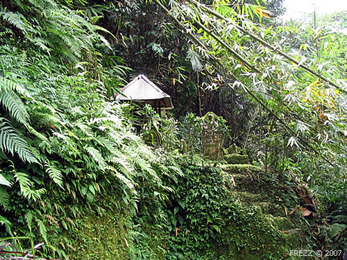 Беседка в тропическом лесу Индонезии