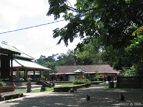 Парк обезьян на Бали