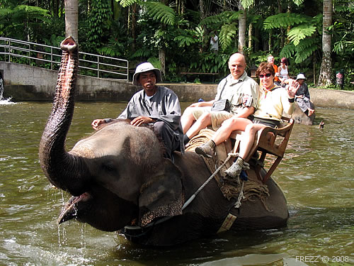 Бали. При желании можно поплавать на слоне