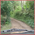 Дорога в джунглях на Бали