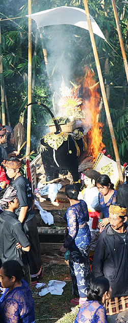 Индонезия - Похороны на Бали. Кремация 