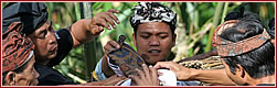 Экзотический обряд на острове Бали